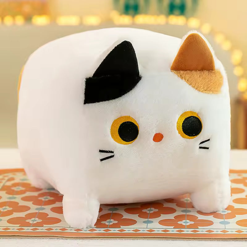 20/25 Cm Super Cute and Fluffy Square Shape Cat Plushie, Come in Many Colors